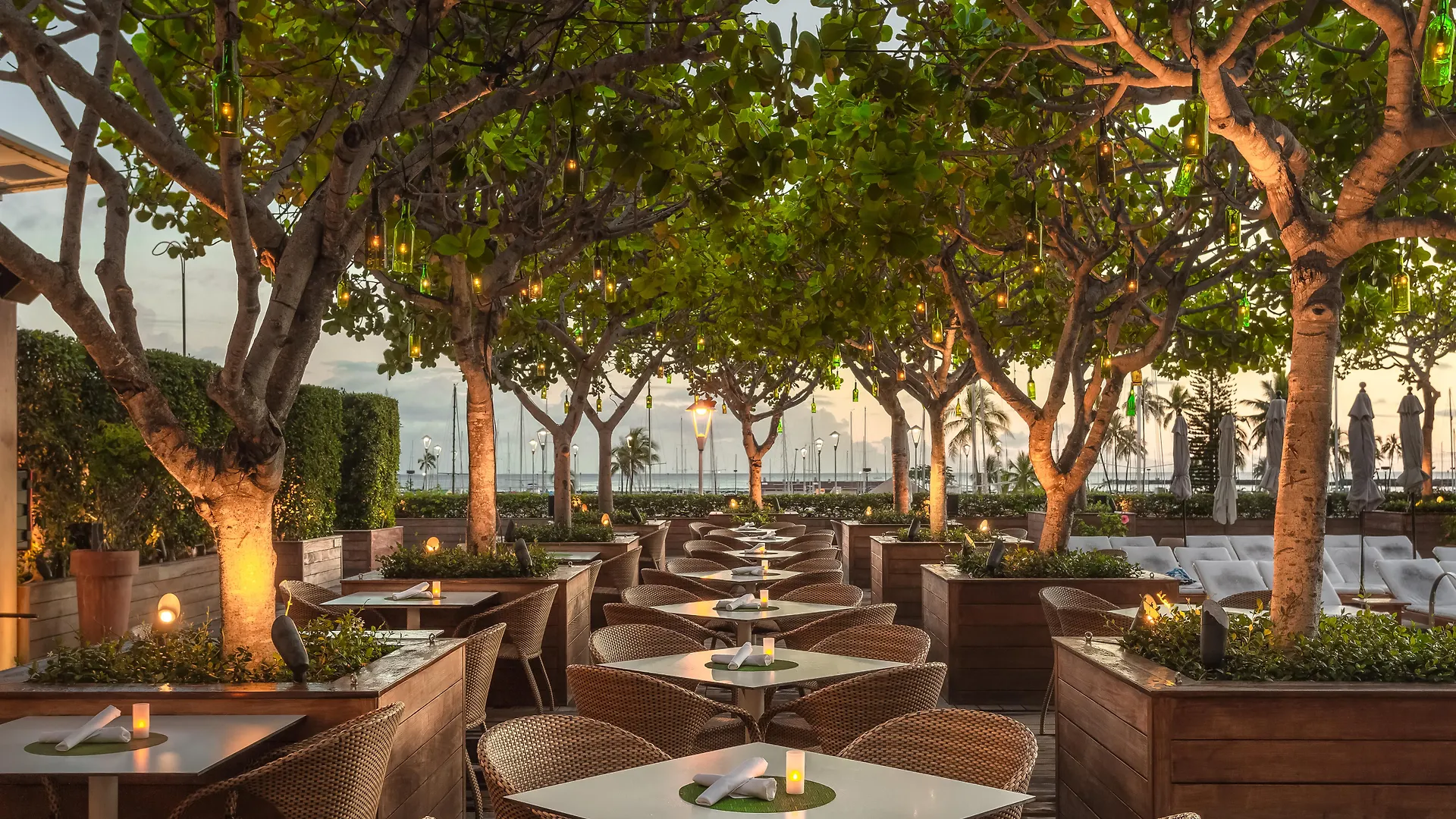 Hotel Hilton Vacation Club The Modern Honolulu