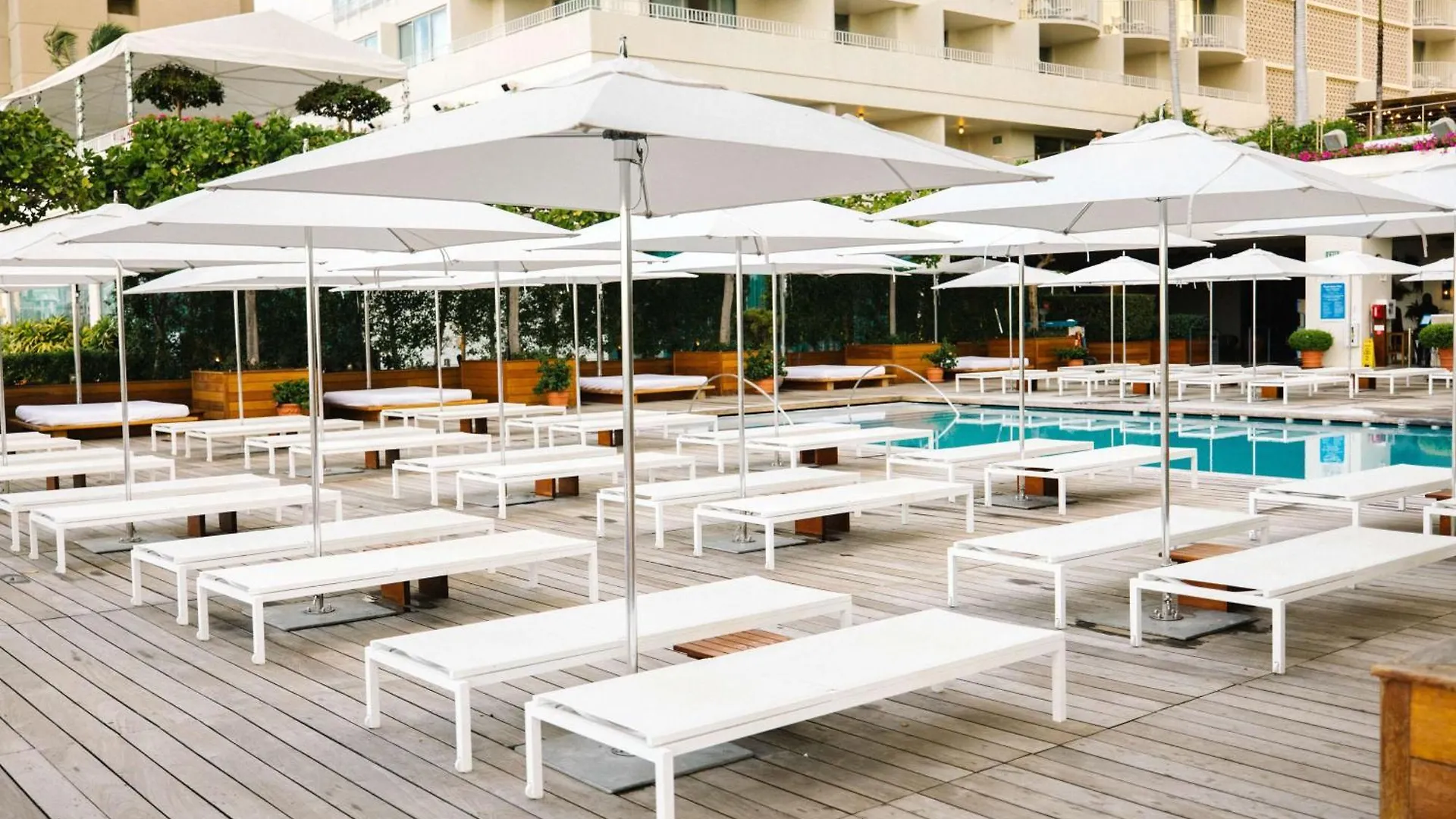 Hilton Vacation Club The Modern Honolulu Hotel